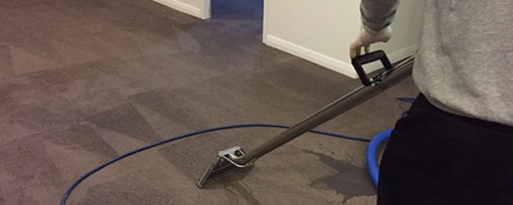 Expert End of Lease Carpet Cleaning Moonah